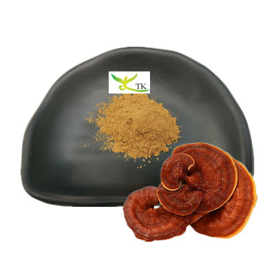 Extrait en gros de Ganoderma Lucidum Extrait de champignon Reishi Polysaccharides en poudre 30%