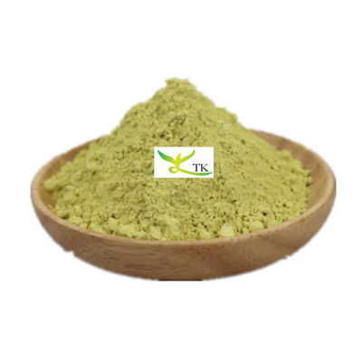 Extrait végétal naturel de meilleure qualité Sophora Japonica Extrait de kaempférol 98% Kaempferol Prix en vrac