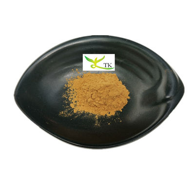 Poudre de fruits de dattes rouges chinoises 100% naturelles Jujube Poudre de fruits de qualité alimentaire