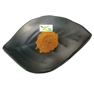 Prix en gros 100% extrait de Boletus Edulis naturel en poudre