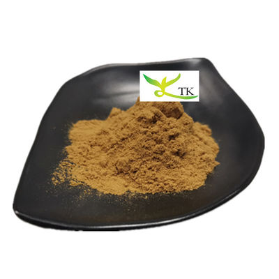 Prix de gros 100% Extrait naturel de Tribulus Terrestris en poudre Saponines 40% à 90%
