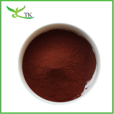 Extrait de peau rouge d'arachide en gros 95% de proanthocyanidines en poudre