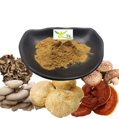 Marque privée La queue de la dinde Chaga Cordyceps Champignon café Migne de lion Champignon poudre de café