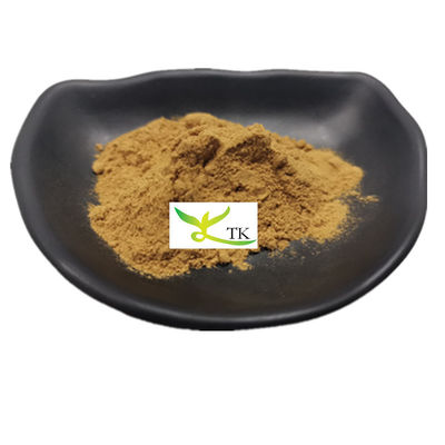 Extrait de champignon de saule naturel à 100% en poudre Polysaccharides Phellinus Igniarius Extrait