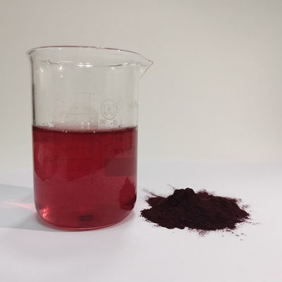HACCP usine Meilleur prix en gros Poudre d'extrait de myrtille naturel à 25% anthocyanine soluble dans l'eau