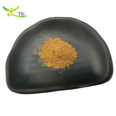 Poudre d'extrait d'amla 100% naturel de qualité alimentaire en gros 10:1 Poudre d'extrait de Phyllanthus Emblica