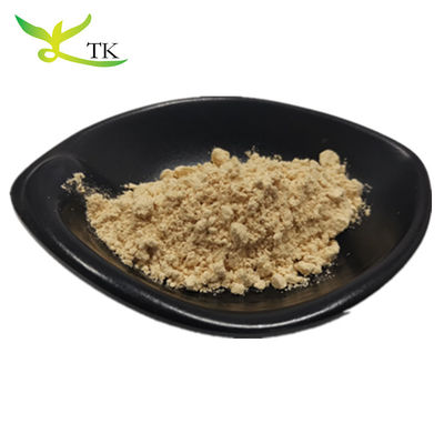 La plus haute qualité 100% Panax naturel pur Extrait de racine de ginseng Ginsenosides en poudre 10% ~ 80%