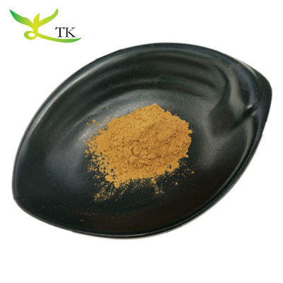 Extrait d'herbes chinoises 100% naturel Extrait de racine d'astragale Poudre d'extrait de Huangqi Poudre
