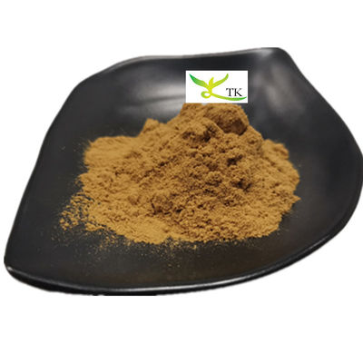 Extrait de racine d'herbe traditionnelle chinoise pure Angelica Sinensis en poudre Ligustilide 1%