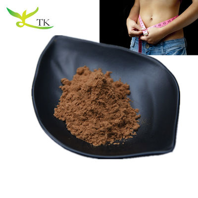 en gros 100% poudre de perte de poids naturelle Extrait de feuille de lotus en poudre 10:1 de qualité alimentaire