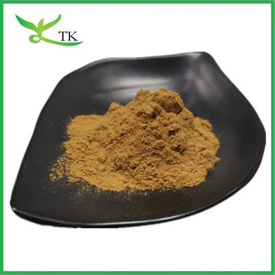 Grade d'alimentation animale 100% extrait naturel de yucca schidigera poudre extrait de yucca saponine 30%