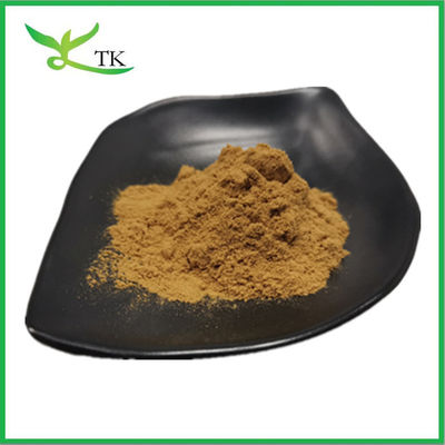 Extrait pur naturel de trèfle rouge Isoflavones 40% en poudre Extrait de fleur de trèfle rouge