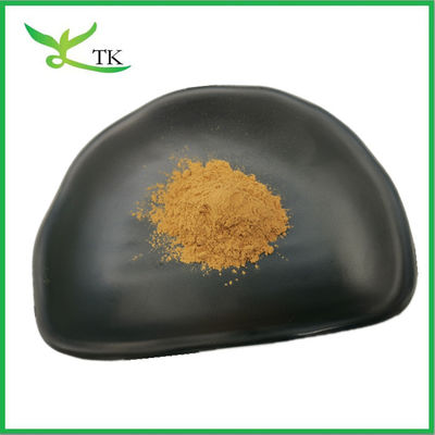 Extrait de poria de coco naturel Polysaccharide 30% Extrait de poria de coco poudre de qualité alimentaire
