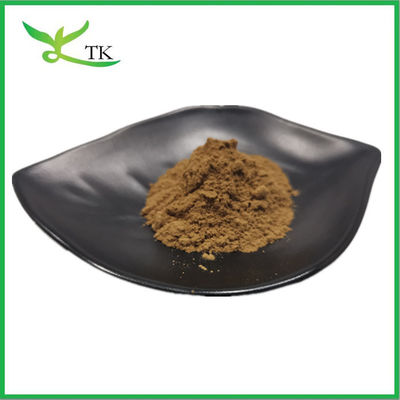 Produits alimentaires matières premières Extrait de truffe noire en poudre 10:1 Extrait de truffe du périgorde