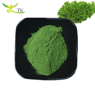 Poudre de super alimentation naturelle Supplément à base de plantes 10:1 20:1 Extrait de chou frisé en poudre en vrac