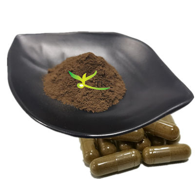 Supplément naturel à base de plantes pour la santé Extrait de Shilajit en poudre Acide fulvique 50%
