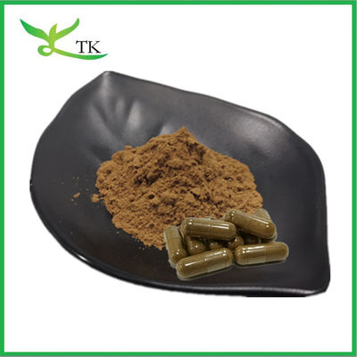 Extrait de plante naturel en poudre Extrait d'aswagandha 10:1 Extrait de racine d'aswagandha