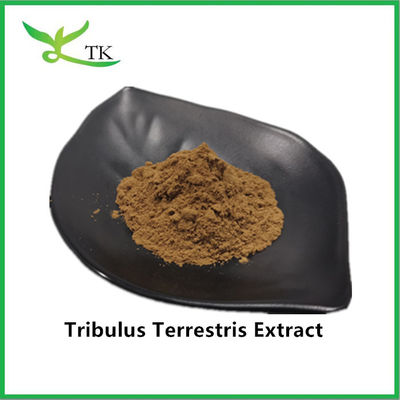 Le meilleur prix en gros 100% extrait naturel de Tribulus Terrestris en poudre Saponine 40%