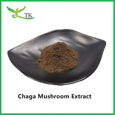 Supplément naturel de soins de santé Extrait de champignon extrait de chaga Poudre de chaga polysaccharide 20%