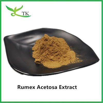 Prix de gros Extrait de plantes naturelles à 100% Rumex Acetosa L. Extrait en poudre