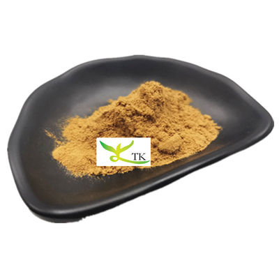 Prix en gros Produits alimentaires Extrait de cactus naturel Extrait de cactus en poudre en vrac