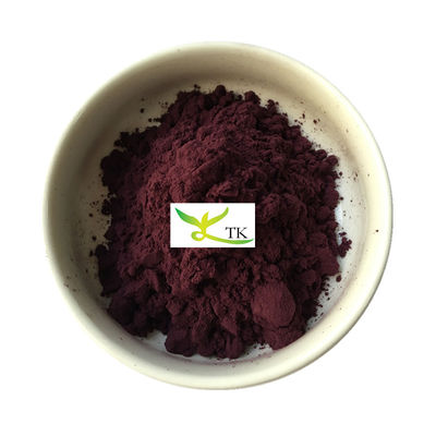 Extrait de groseille noire 100% naturel de qualité alimentaire Extrait de groseille noire poudre 10:1