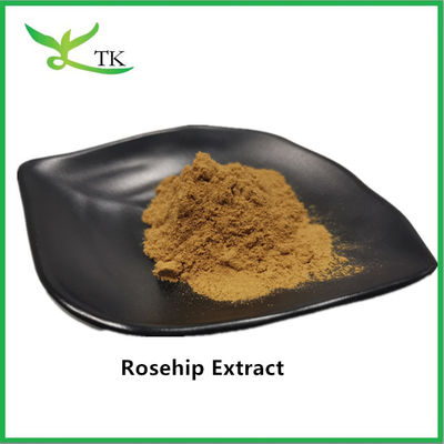 Poudre d'extrait de roseau 100% naturel de qualité alimentaire Poudre d'extrait de roseau