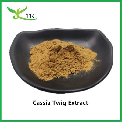 Extrait d'herbe traditionnelle chinoise 100% naturel Gui Zhi Cassia Twig Extrait en poudre 10:1