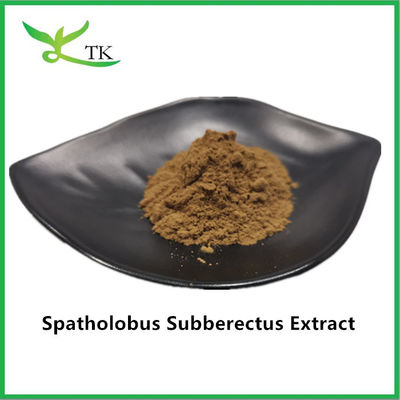 Extrait 100% naturel de Caulis Spatholobi en poudre Extrait de Spatholobus Suberectus