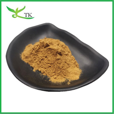 Extrait de plante naturel à 100% Salix Alba Extrait d'écorce de saule blanche Extrait de salicine 10% à 98%