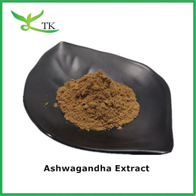 Médecine traditionnelle ayurvédique Ginseng indien Ashwagandha Poudre d'extrait d'aswaganda Poudre d'extrait d'aswaganda