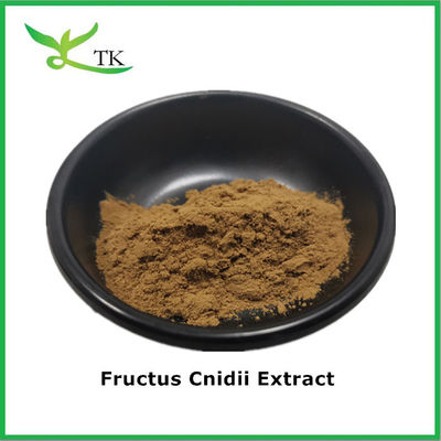 Supplément à base de plantes naturelles pures Supplément 10:1 20:1 Extrait de fructus cnidii en poudre