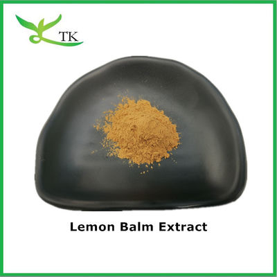 Extrait de baume de citron naturel pur Extrait de baume de citron séché en poudre