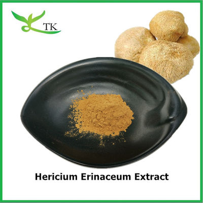 Produit alimentaire Pure extrait naturel de Hericium erinaceum Poudre de Hericium erinaceum