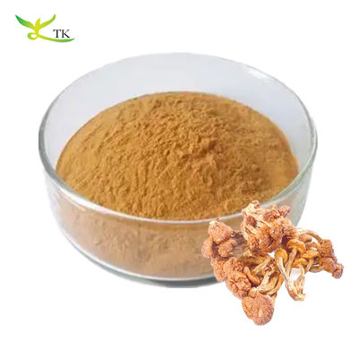 Produit alimentaire Puri Naturel Pholiota Nameko Extrait Polysaccharides en poudre