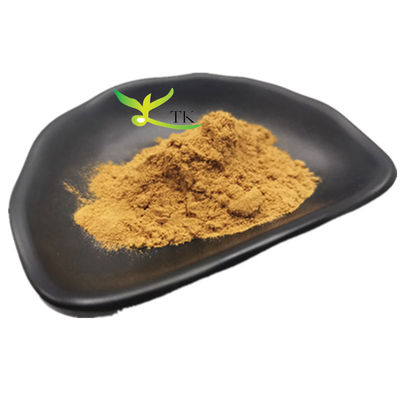 Prix en gros Produits alimentaires Extrait de Galangal Extrait de racine de Galangal Poudre
