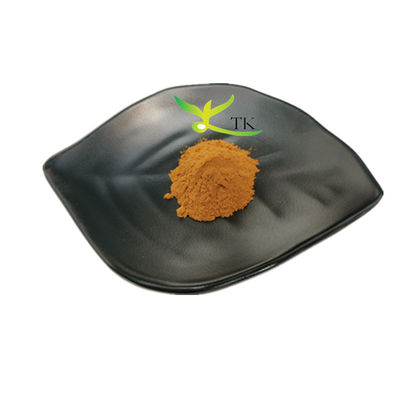 Extrait de plantes naturelles Vitex Agnus Castus Extrait de Vitex Agnus Castus Prix en poudre