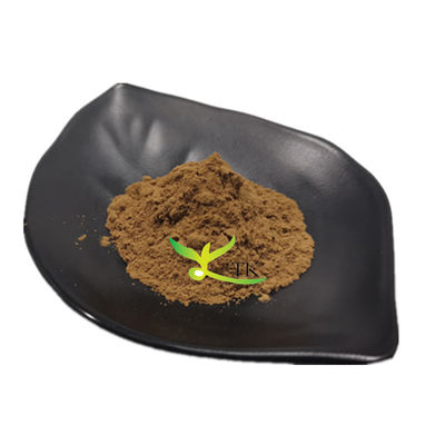 Poudre de fucoïdan naturel Extrait d'algues brunes Prix du fucoïdan