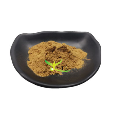 Produit alimentaire 100% naturel Salsola Collina Extrait Salsola Collina Prix en poudre