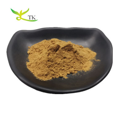 Extrait de Bhringaraj 100% naturel Extrait d' Eclipta Alba Prix de la poudre
