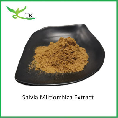 Extrait de plantes naturelles de Salvia Miltiorrhiza Extrait de racine de Salvia Miltiorrhiza en poudre