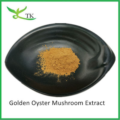 Polysaccharides naturels de champignons Pleurotus Citrinopileatus Extrait en poudre