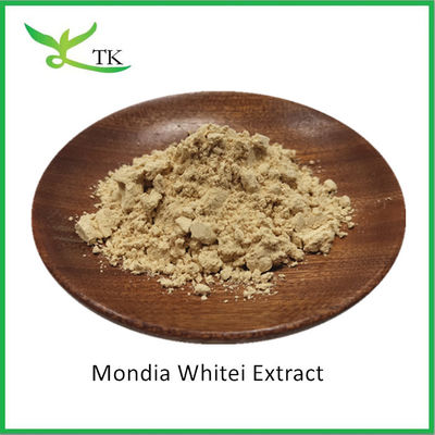 Extrait de racine de gingembre de blanche de qualité alimentaire naturelle Mondia Whitei Extrait en poudre