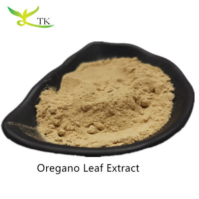 Prix en gros Extrait d'origan 100% naturel en poudre Extrait de feuille d'origan