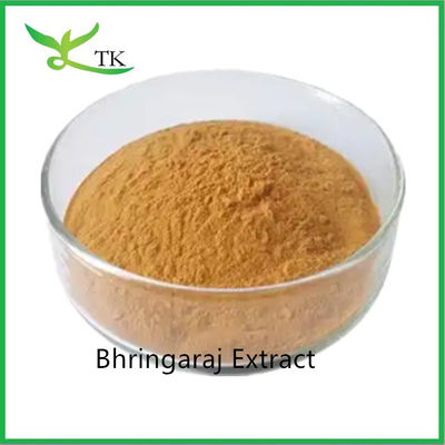 100% soins capillaires naturels Extrait de feuille de Bhringaraj Eclipta Alba Extrait en poudre Roi des cheveux