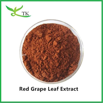 Produit alimentaire 100% extrait naturel de feuilles de raisin rouge en poudre extrait de vigne