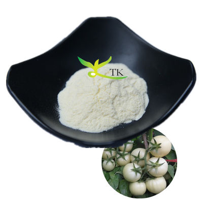 Vente à chaud 100% Solanum naturel Lycopersicum poudre de tomate blanche 10:1 20:1