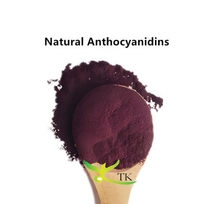 Poudre d'anthocyanidines naturelles et pures extraites de fruits et légumes