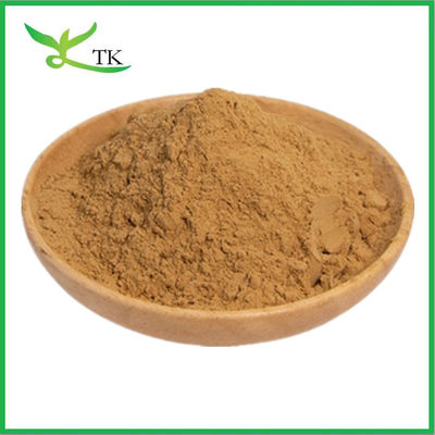 Extrait de racine de maral naturel, extrait de Rhaponticum carthamoides en poudre
