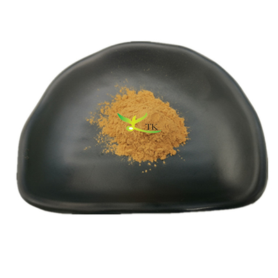 Poudre d'extrait de champignon naturel Agaricus Blazei